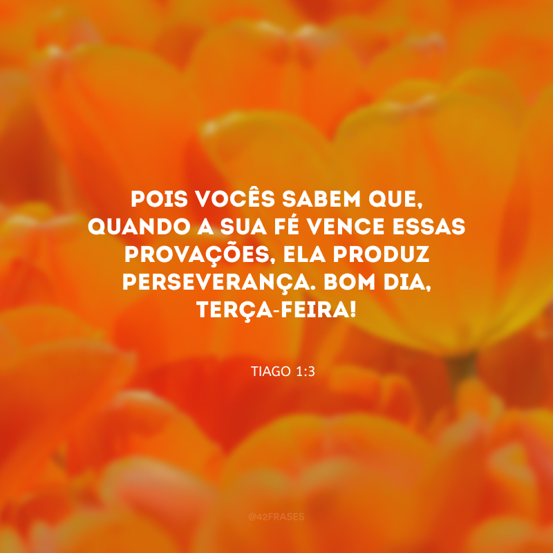 Pois vocês sabem que, quando a sua fé vence essas provações, ela produz perseverança. Bom dia, terça-feira!