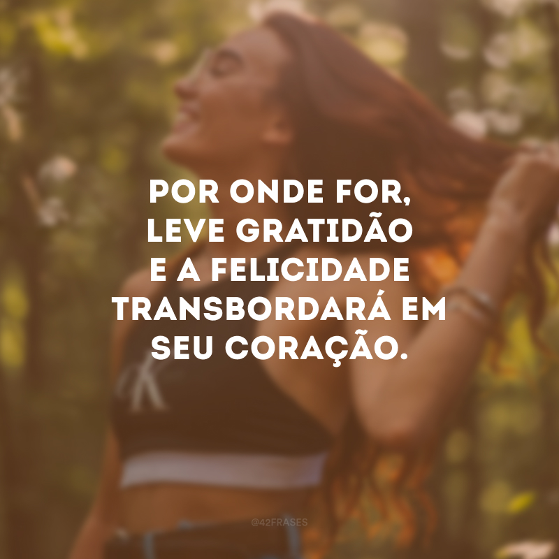 Por onde for, leve gratidão e a felicidade transbordará em seu coração.