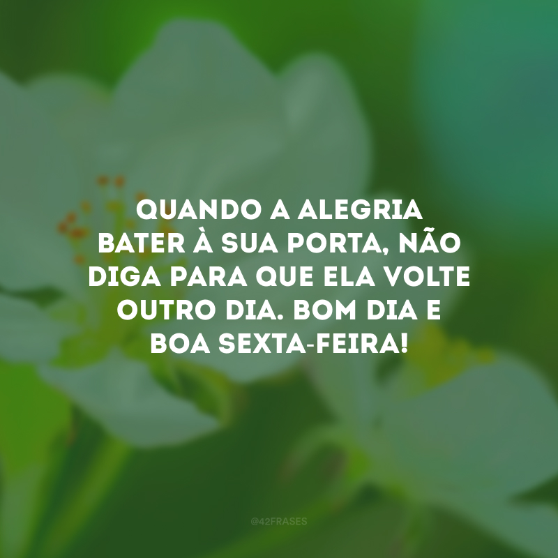 Quando a alegria bater à sua porta, não diga para que ela volte outro dia. Bom dia e boa sexta-feira!