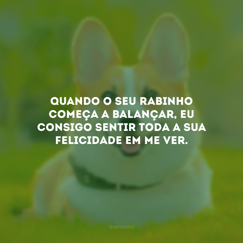 Quando o seu rabinho começa a balançar, eu consigo sentir toda a sua felicidade em me ver.