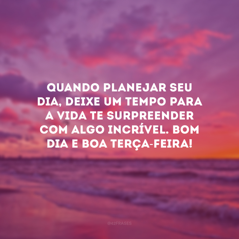 Quando planejar seu dia, deixe um tempo para a vida te surpreender com algo incrível. Bom dia e boa terça-feira!