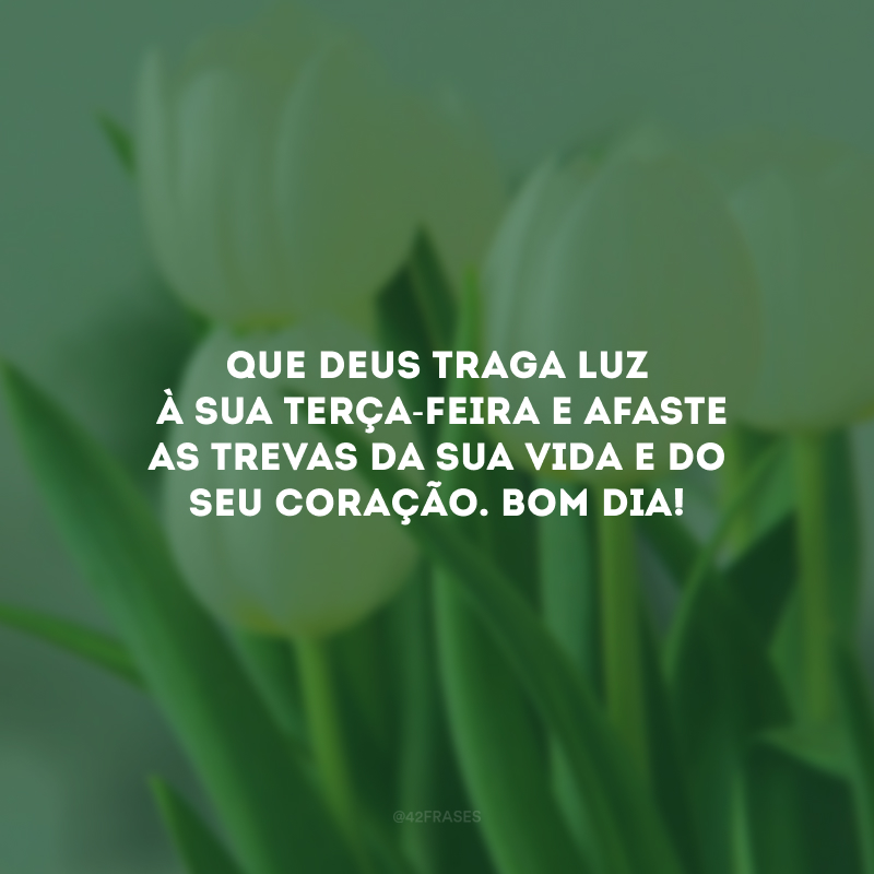 Que Deus traga luz à sua terça-feira e afaste as trevas da sua vida e do seu coração. Bom dia!