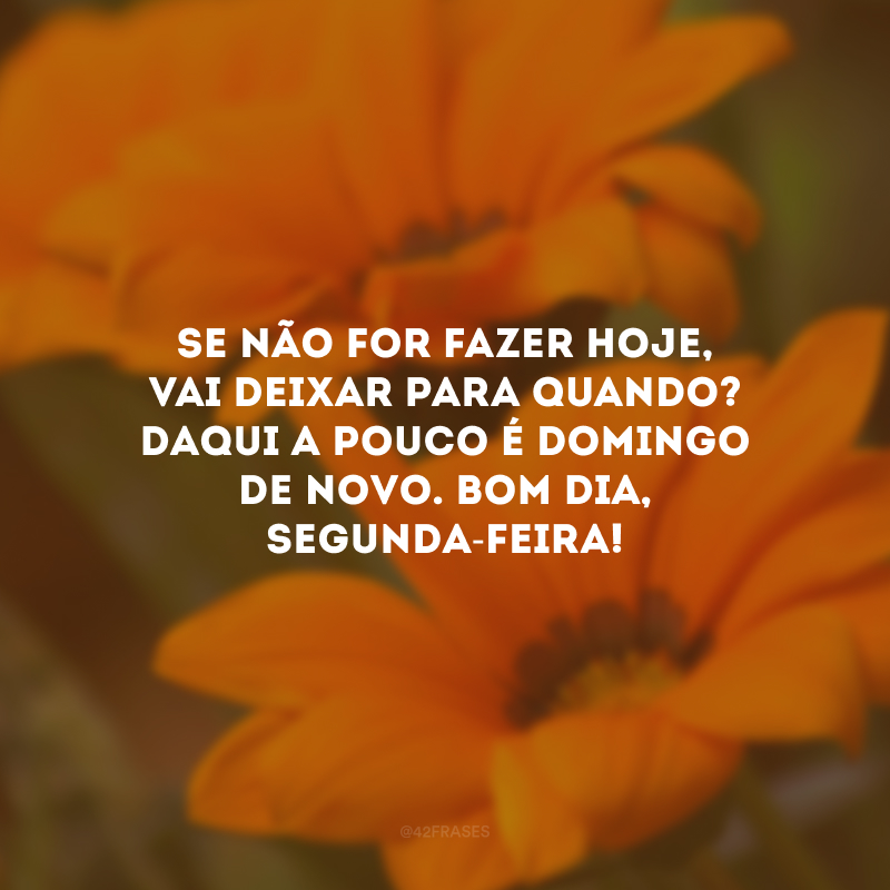 Se não for fazer hoje, vai deixar para quando? Daqui a pouco é domingo de novo. Bom dia, segunda-feira!