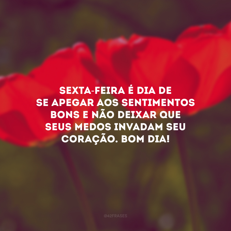 Sexta-feira é dia de se apegar aos sentimentos bons e não deixar que seus medos invadam seu coração. Bom dia!