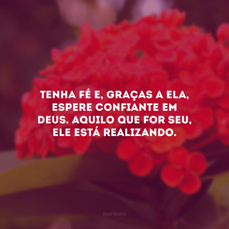 Tenha fé e, graças a ela, espere confiante em Deus. Aquilo que for seu, Ele está realizando.