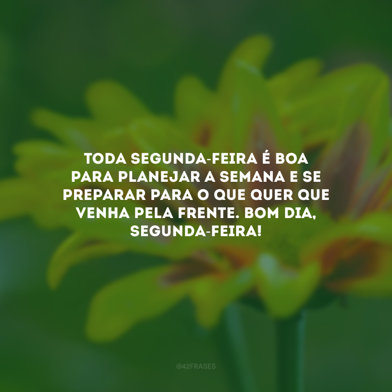 Toda segunda-feira é boa para planejar a semana e se preparar para o que quer que venha pela frente. Bom dia, segunda-feira!