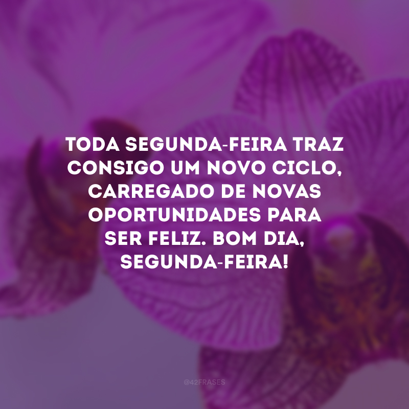 Toda segunda-feira traz consigo um novo ciclo, carregado de novas oportunidades para ser feliz. Bom dia, segunda-feira!