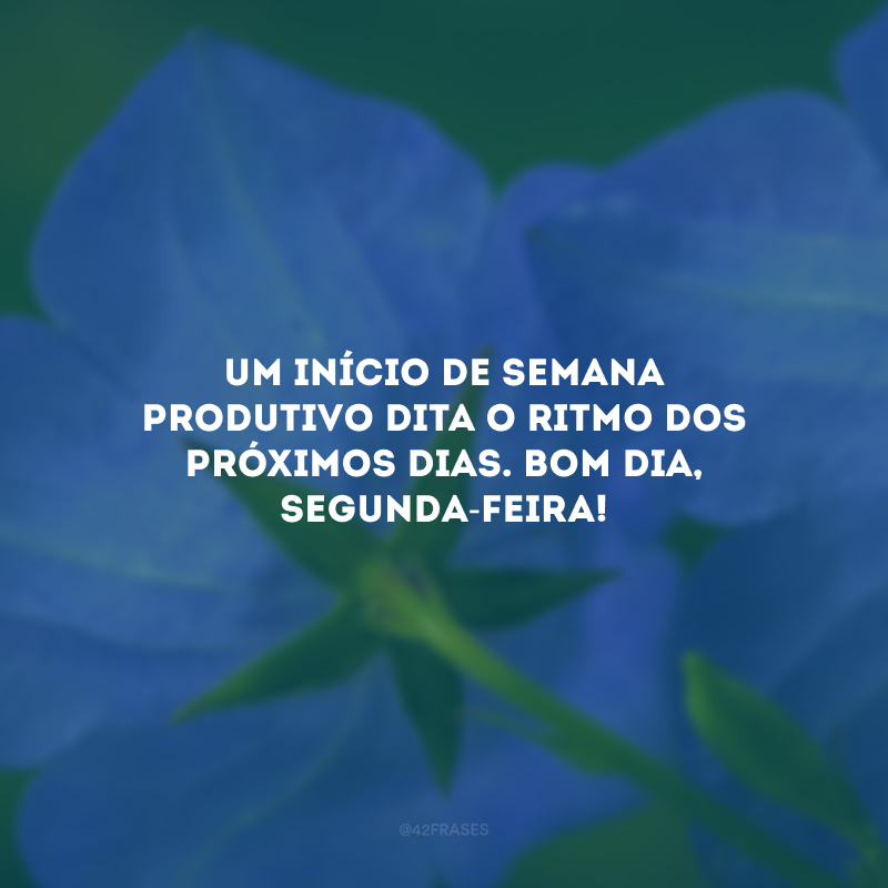 Um início de semana produtivo dita o ritmo dos próximos dias. Bom dia, segunda-feira!