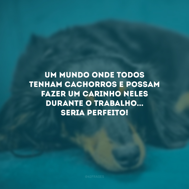 Um mundo onde todos tenham cachorros e possam fazer um carinho neles durante o trabalho... Seria perfeito!