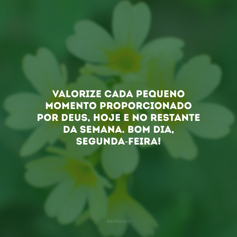 Valorize cada pequeno momento proporcionado por Deus, hoje e no restante da semana. Bom dia, segunda-feira!