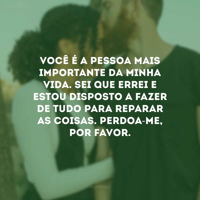 Você é a pessoa mais importante da minha vida. Sei que errei e estou disposto a fazer de tudo para reparar as coisas. Perdoa-me, por favor.