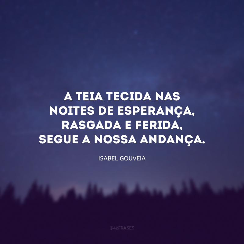 A teia tecida nas noites de esperança, rasgada e ferida, segue a nossa andança.