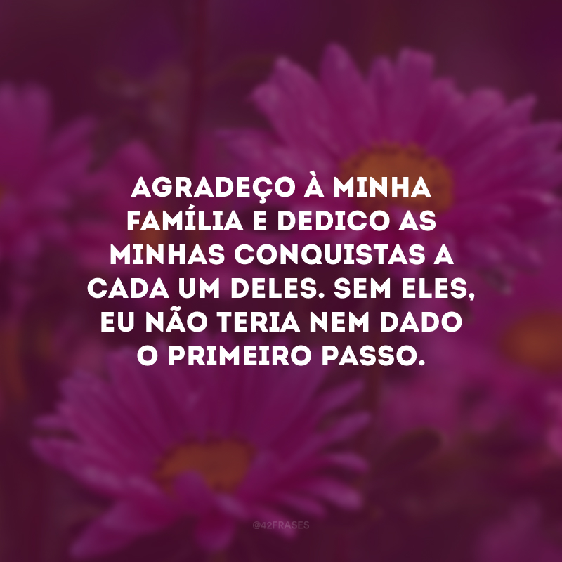 Agradeço à minha família e dedico as minhas conquistas a cada um deles. Sem eles, eu não teria nem dado o primeiro passo.