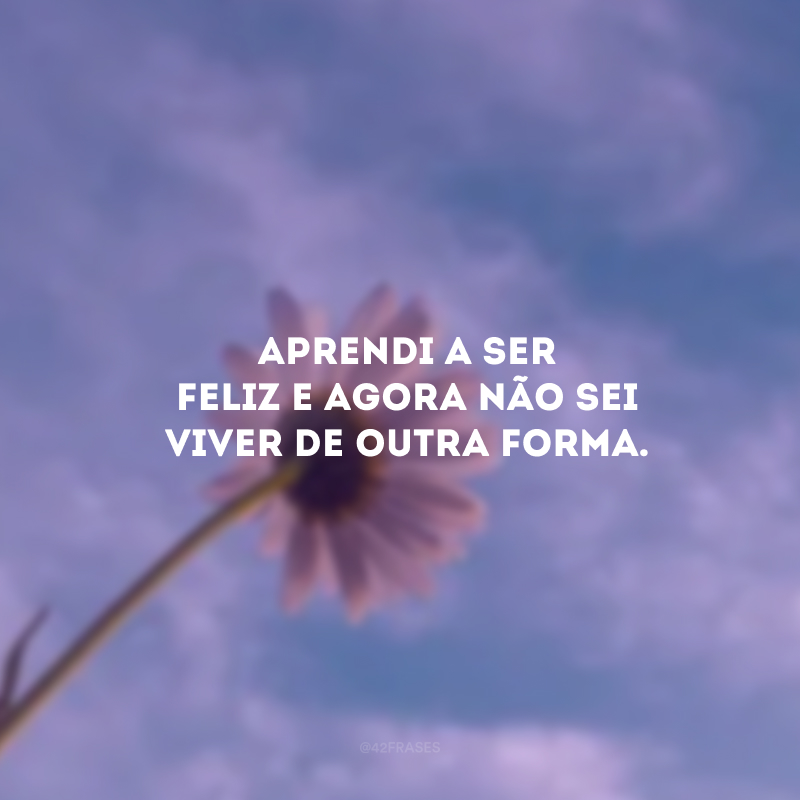 Aprendi a ser feliz e agora não sei viver de outra forma. 