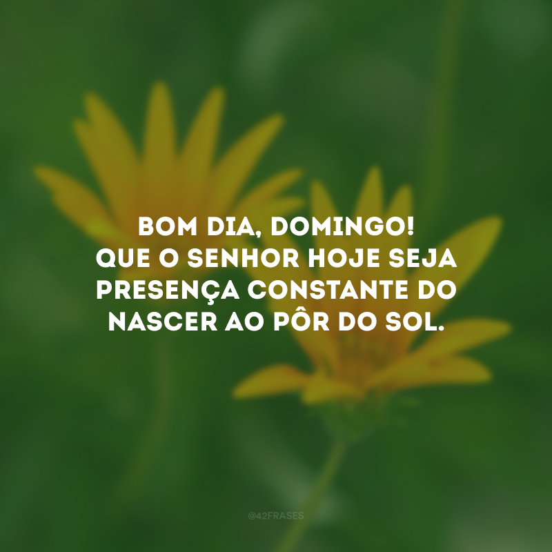 Bom dia, domingo! Que o Senhor hoje seja presença constante do nascer ao pôr do sol.