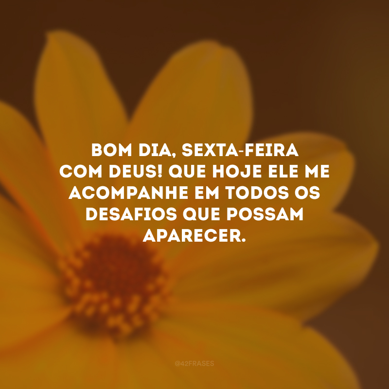 Bom dia, sexta-feira com Deus! Que hoje Ele me acompanhe em todos os desafios que possam aparecer.