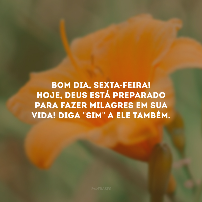 Bom dia, sexta-feira! Hoje, Deus está preparado para fazer milagres em sua vida! Diga \