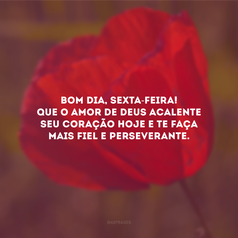 Bom dia, sexta-feira! Que o amor de Deus acalente seu coração hoje e te faça mais fiel e perseverante.