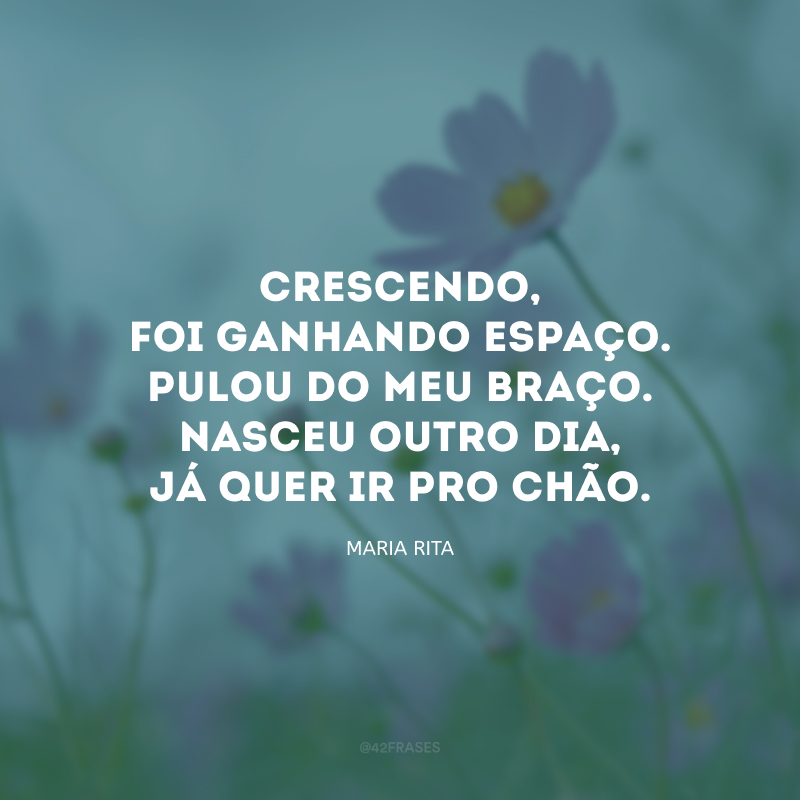 Crescendo, foi ganhando espaço. Pulou do meu braço. Nasceu outro dia, já quer ir pro chão.