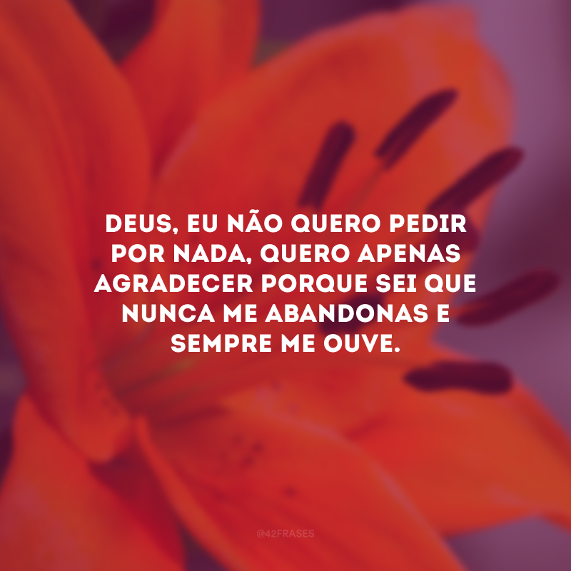 Deus, eu não quero pedir por nada, quero apenas agradecer porque sei que nunca me abandonas e sempre me ouve.