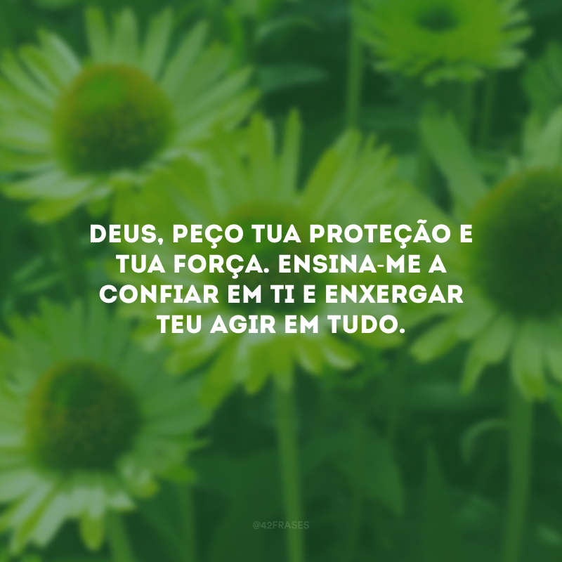 Deus, peço Tua proteção e Tua força. Ensina-me a confiar em Ti e enxergar Teu agir em tudo.