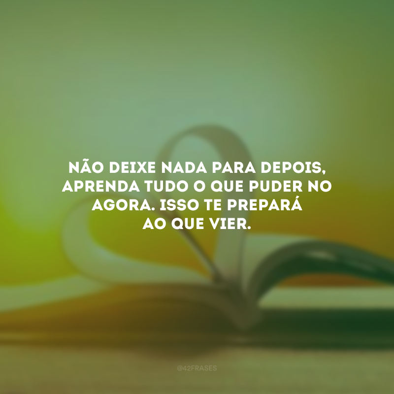 Não deixe nada para depois, aprenda tudo o que puder no agora. Isso te prepará ao que vier.