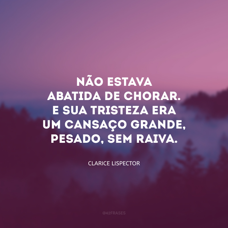 Não estava abatida de chorar. E sua tristeza era um cansaço grande, pesado, sem raiva.