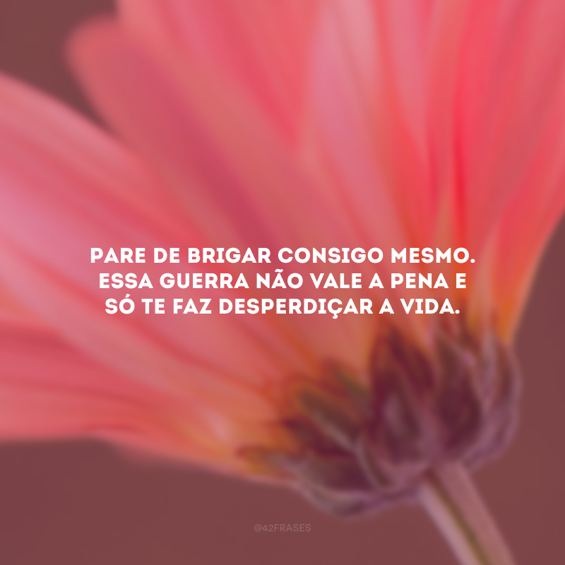 Pare de brigar consigo mesmo. Essa guerra não vale a pena e só te faz desperdiçar a vida.