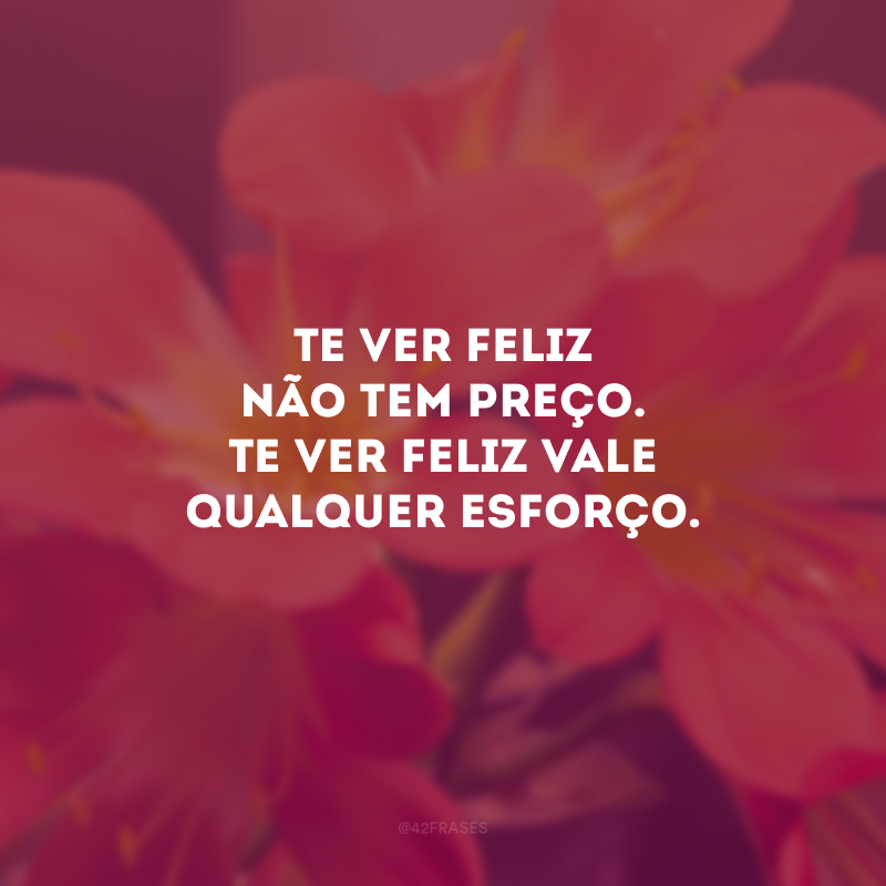 Te ver feliz não tem preço. Te ver feliz vale qualquer esforço.