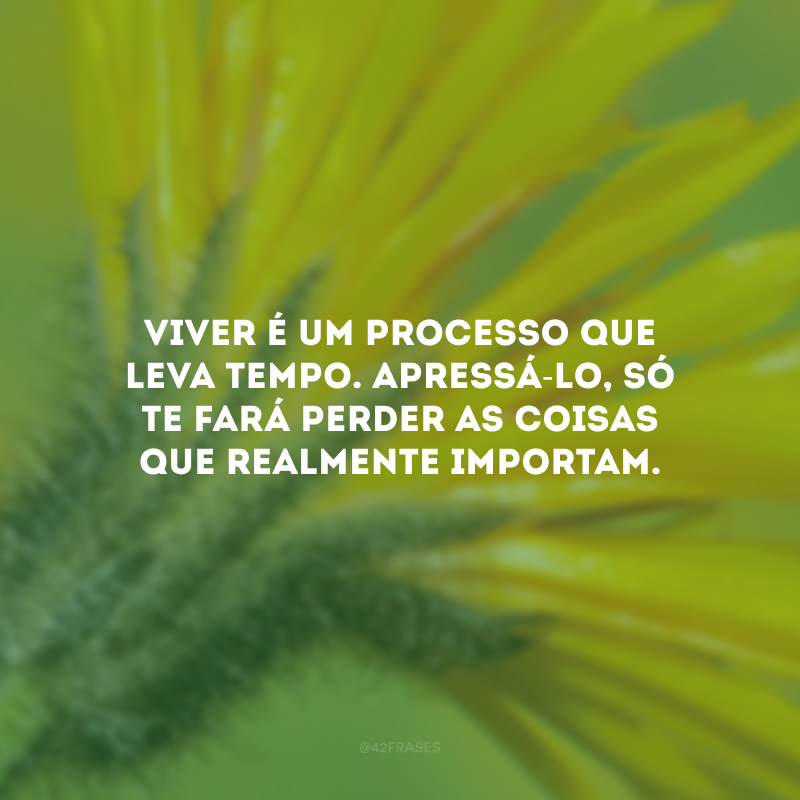 Viver é um processo que leva tempo. Apressá-lo, só te fará perder as coisas que realmente importam.