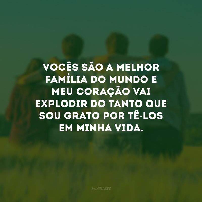 Vocês são a melhor família do mundo e meu coração vai explodir do tanto que sou grato por tê-los em minha vida.