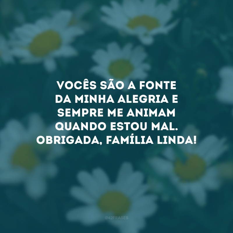 Vocês são a fonte da minha alegria e sempre me animam quando estou mal. Obrigada, família linda!