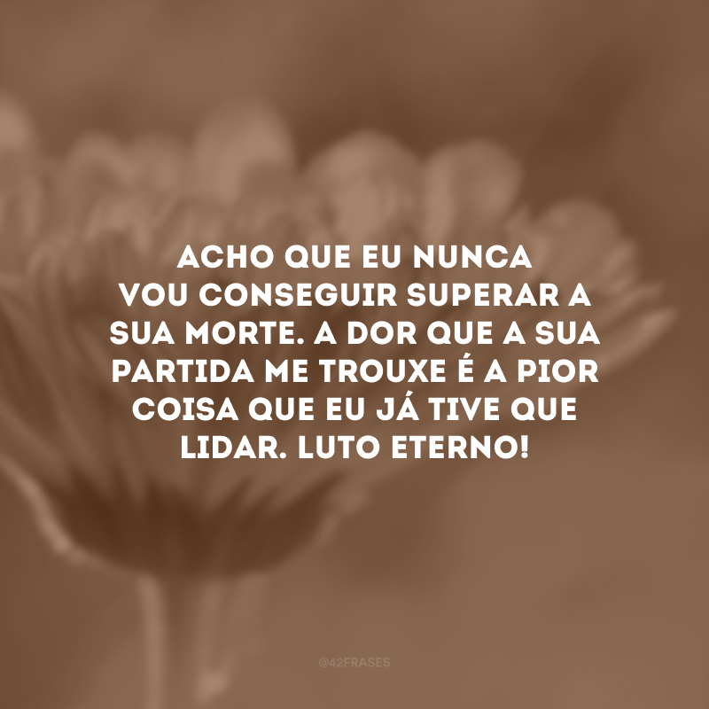 Acho que eu nunca vou conseguir superar a sua morte. A dor que a sua partida me trouxe é a pior coisa que eu já tive que lidar. Luto eterno!