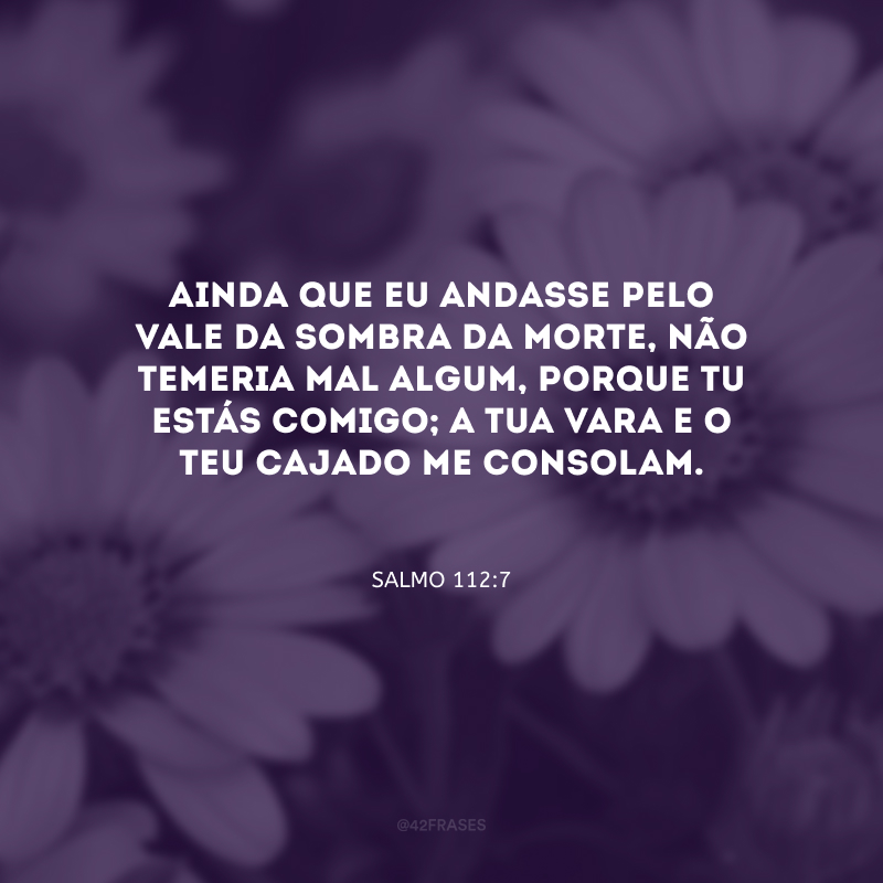 Ainda que eu andasse pelo vale da sombra da morte, não temeria mal algum, porque tu estás comigo; a tua vara e o teu cajado me consolam.