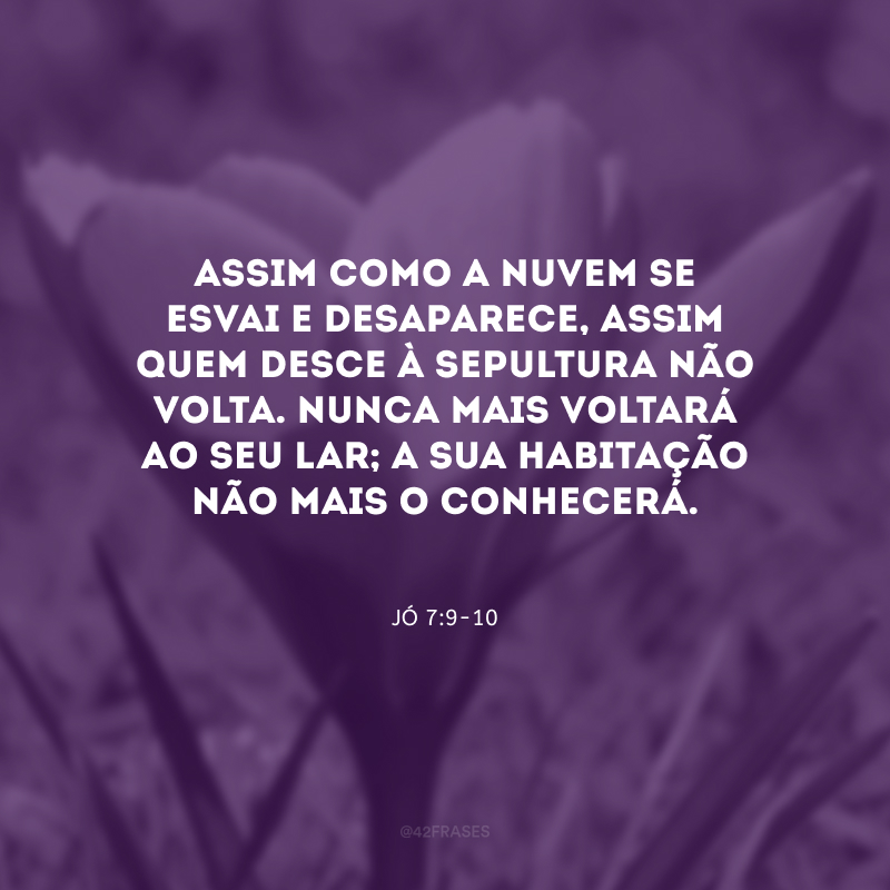 Assim como a nuvem se esvai e desaparece, assim quem desce à sepultura não volta. Nunca mais voltará ao seu lar; a sua habitação não mais o conhecerá.