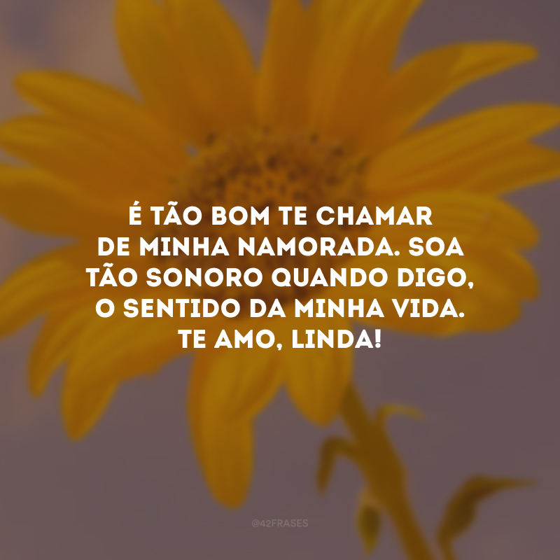 É tão bom te chamar de minha namorada. Soa tão sonoro quando digo, o sentido da minha vida. Te amo, linda!