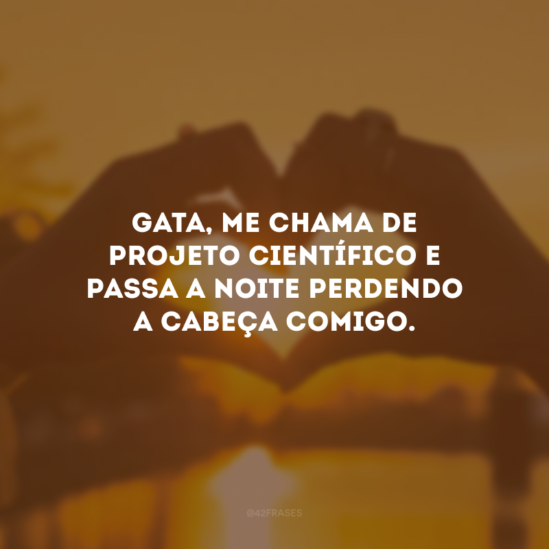 Gata, me chama de Projeto Científico e passa a noite perdendo a cabeça comigo.