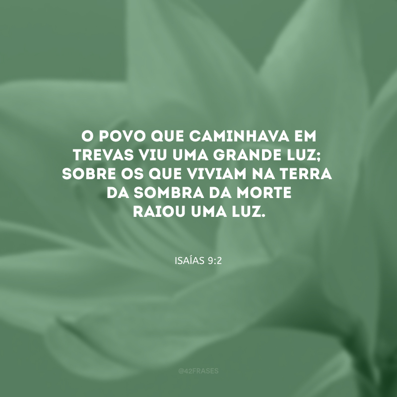 O povo que caminhava em trevas viu uma grande luz;
sobre os que viviam na terra
da sombra da morte raiou uma luz.
