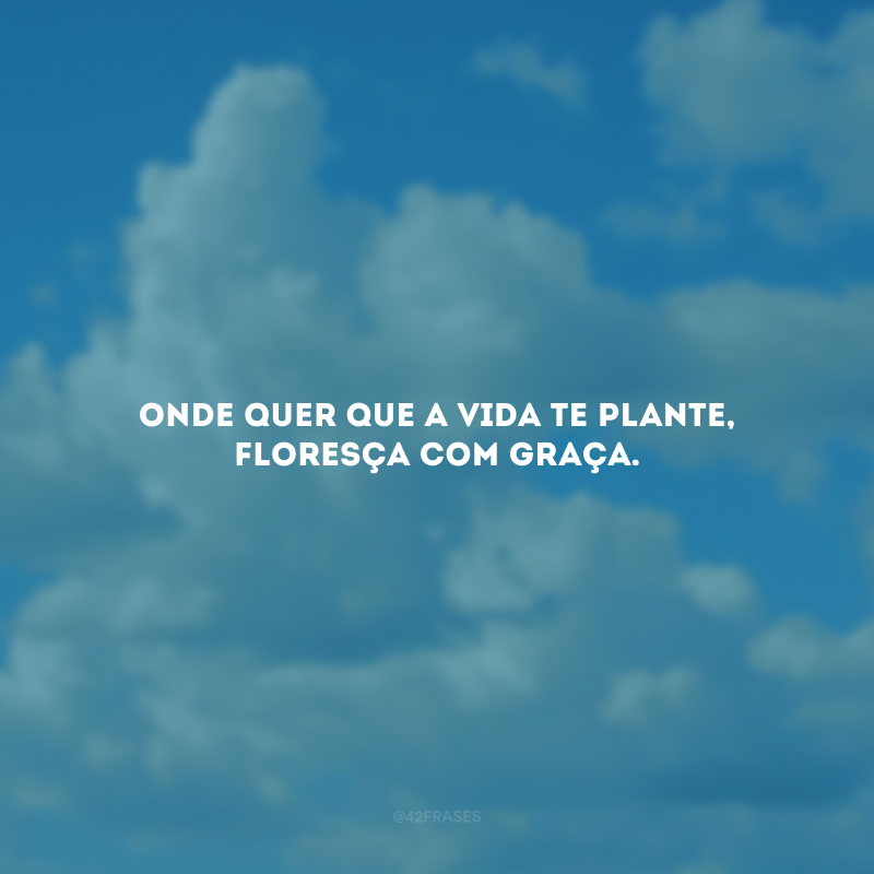 Onde quer que a vida te plante, floresça com graça.