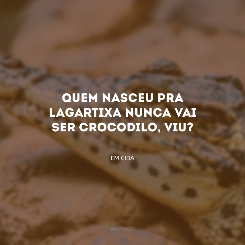 Quem nasceu pra lagartixa nunca vai ser crocodilo, viu?