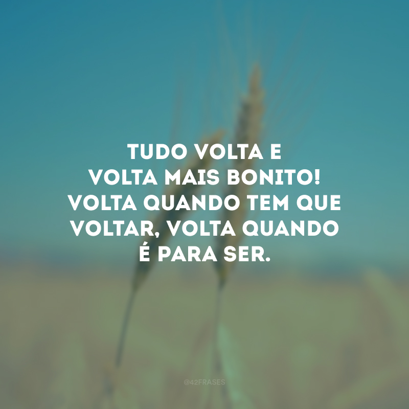 Tudo volta e volta mais bonito! Volta quando tem que voltar, volta quando é para ser. 