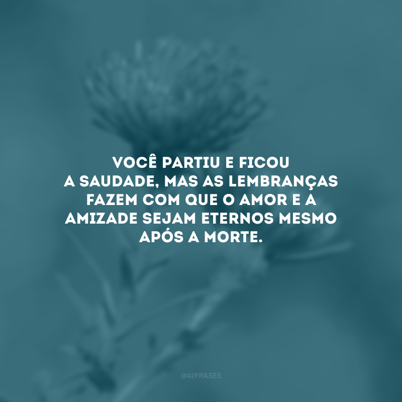 Você partiu e ficou a saudade, mas as lembranças fazem com que o amor e a amizade sejam eternos mesmo após a morte. 