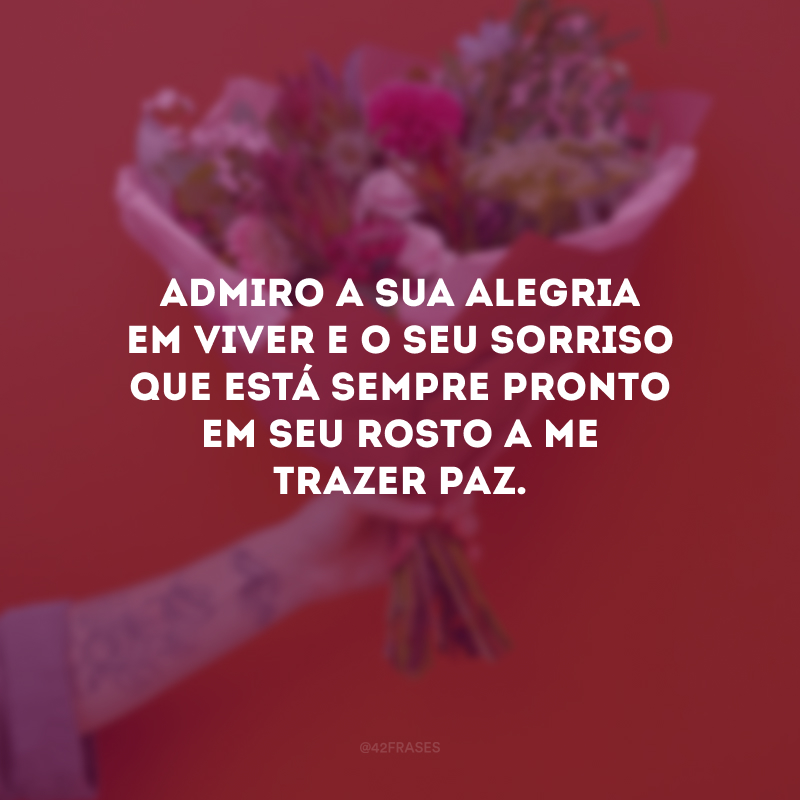 Admiro a sua alegria em viver e o seu sorriso que está sempre pronto em seu rosto a me trazer paz.