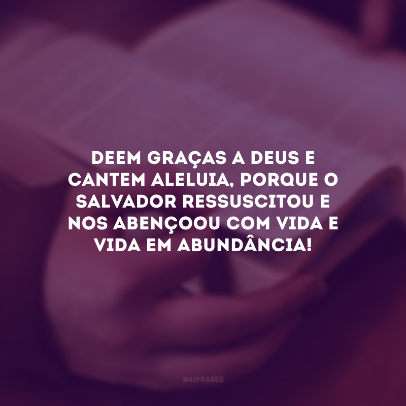 Deem graças a Deus e cantem Aleluia, porque o Salvador ressuscitou e nos abençoou com vida e vida em abundância!