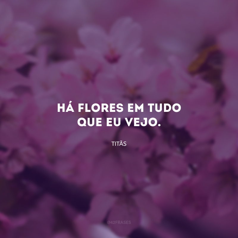 Há flores em tudo que eu vejo.