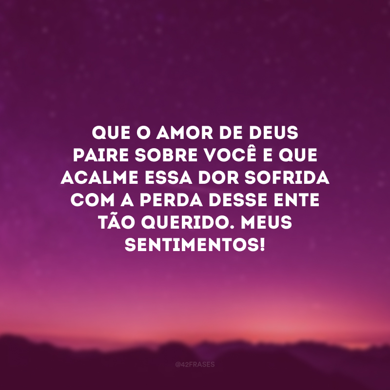 Que o amor de Deus paire sobre você e que acalme essa dor sofrida com a perda desse ente tão querido. Meus sentimentos!