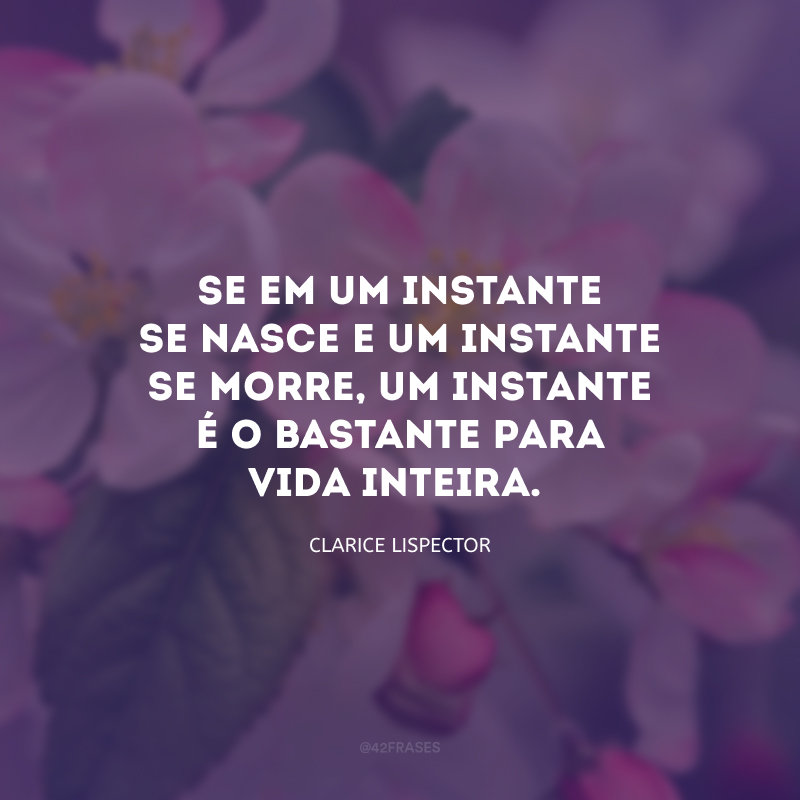 Se em um instante se nasce e um instante se morre, um instante é o bastante para vida inteira.