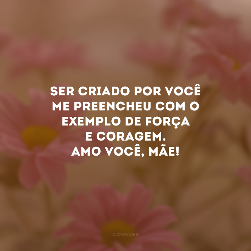 Ser criado por você me preencheu com o exemplo de força e coragem. Amo você, mãe!