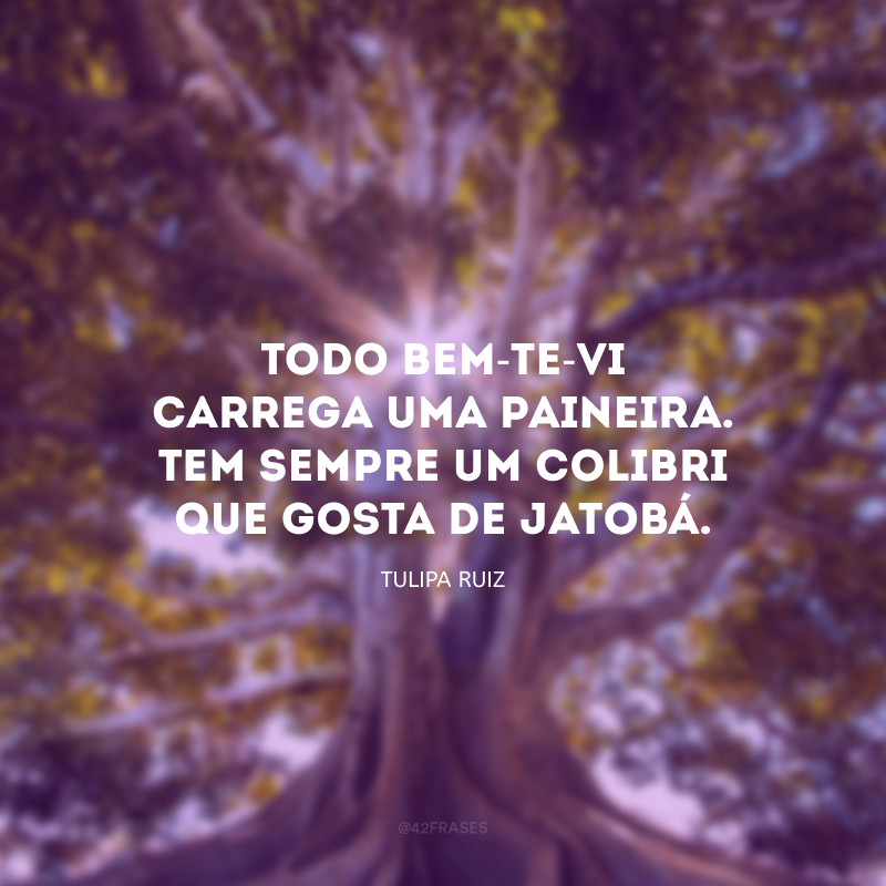 Todo bem-te-vi carrega uma paineira. Tem sempre um colibri que gosta de jatobá.