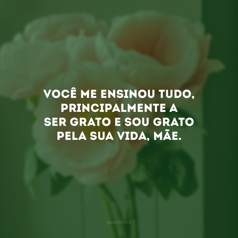 Você me ensinou tudo, principalmente a ser grato e sou grato pela sua vida, mãe.